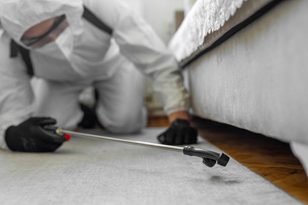 Professional Pest Control technician working in New Hartford Center, CT