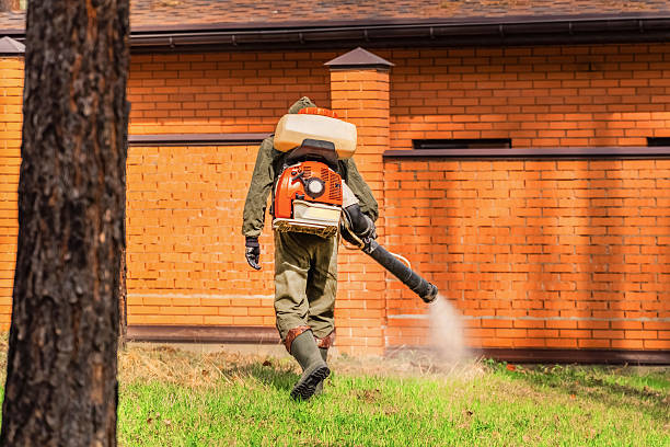 Trusted Emergency Pest Control service in New Hartford Center, CT - Nex Pest Control